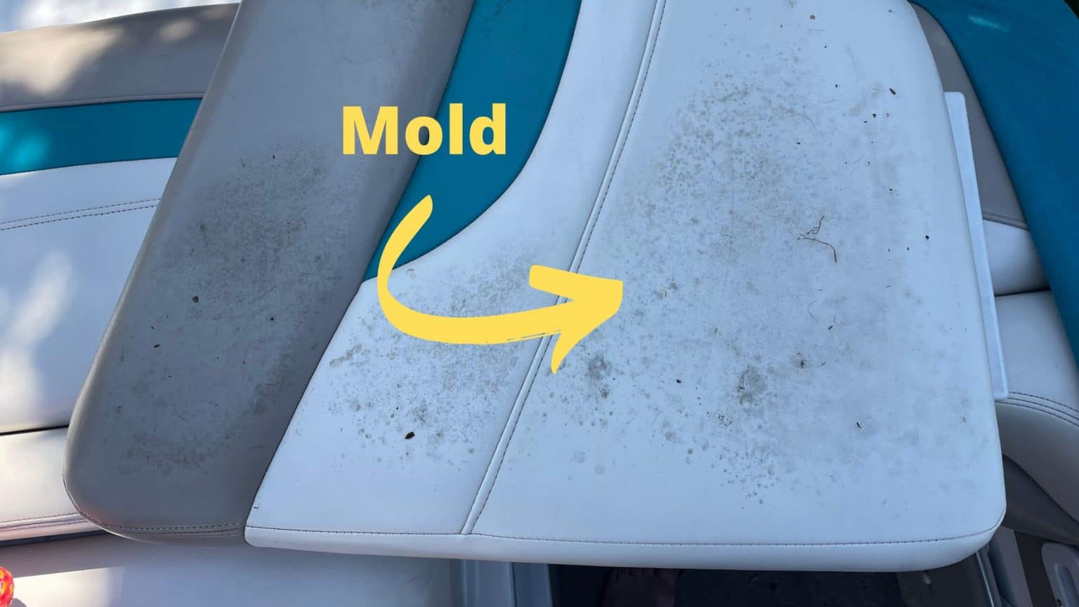 How To Clean Vinyl Boat Seats Of Mildew (Easy Tips!) Project Boating